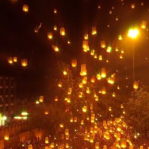 Meet your Posher, Jacqueline